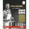PROLINE GOLD Schuurpapier Vellen P80 Set à 10 Stuks 2 PROLINE GOLD Schuurpapier Vellen P80 Set à 10 Stuks -tesa winkel DV 8 6738193 01 4c NL 20220316164759